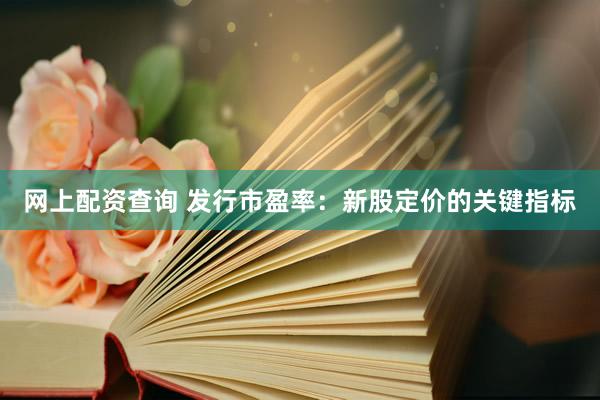 网上配资查询 发行市盈率：新股定价的关键指标