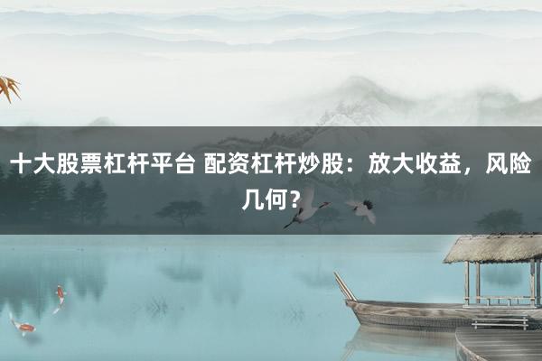 十大股票杠杆平台 配资杠杆炒股：放大收益，风险几何？