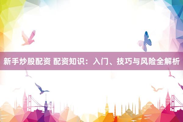 新手炒股配资 配资知识：入门、技巧与风险全解析