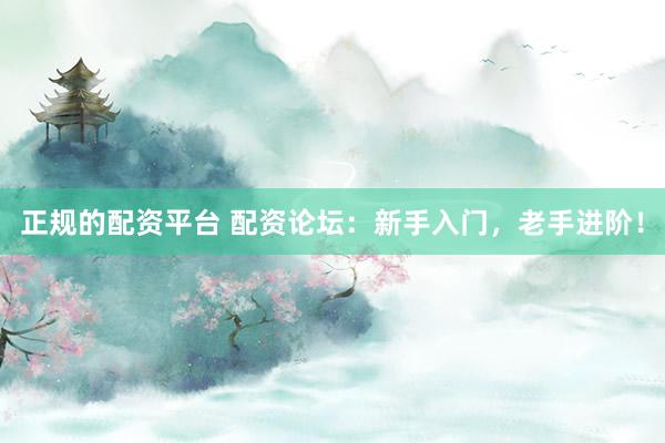 正规的配资平台 配资论坛：新手入门，老手进阶！