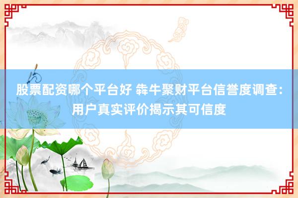 股票配资哪个平台好 犇牛聚财平台信誉度调查：用户真实评价揭示其可信度