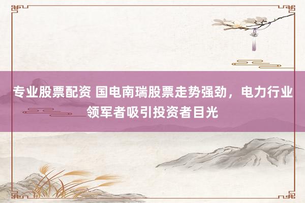 专业股票配资 国电南瑞股票走势强劲，电力行业领军者吸引投资者目光