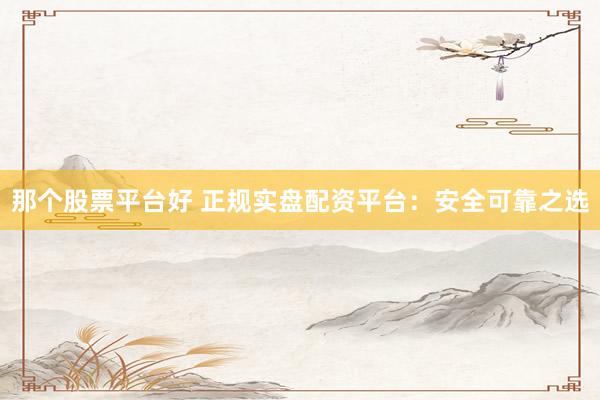 那个股票平台好 正规实盘配资平台：安全可靠之选