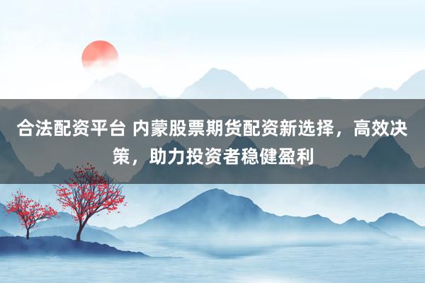 合法配资平台 内蒙股票期货配资新选择，高效决策，助力投资者稳健盈利