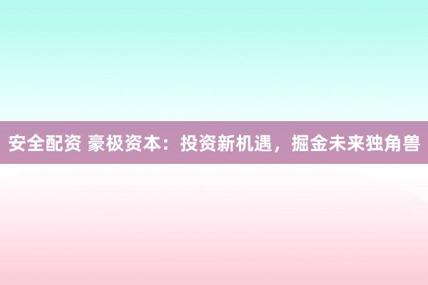 安全配资 豪极资本：投资新机遇，掘金未来独角兽