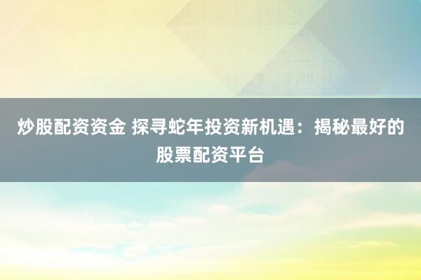 炒股配资资金 探寻蛇年投资新机遇：揭秘最好的股票配资平台