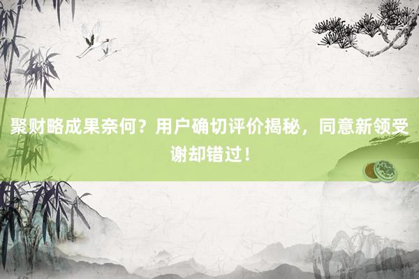 聚财略成果奈何？用户确切评价揭秘，同意新领受谢却错过！