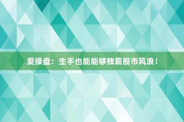 爱操盘：生手也能能够独霸股市风浪！