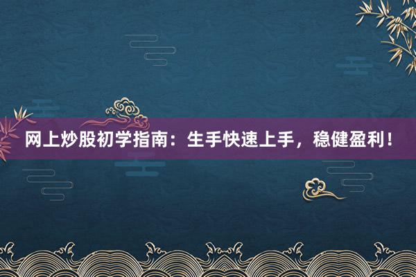 网上炒股初学指南：生手快速上手，稳健盈利！