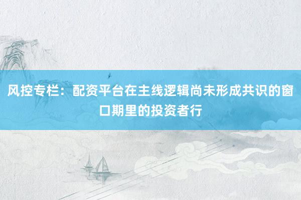 风控专栏：配资平台在主线逻辑尚未形成共识的窗口期里的投资者行
