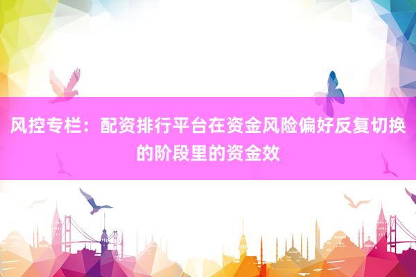 风控专栏：配资排行平台在资金风险偏好反复切换的阶段里的资金效