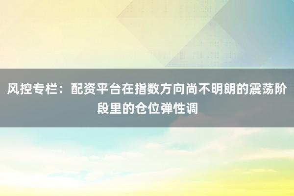 风控专栏：配资平台在指数方向尚不明朗的震荡阶段里的仓位弹性调