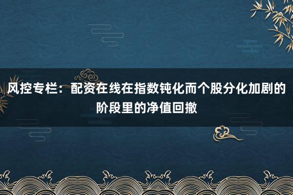 风控专栏：配资在线在指数钝化而个股分化加剧的阶段里的净值回撤