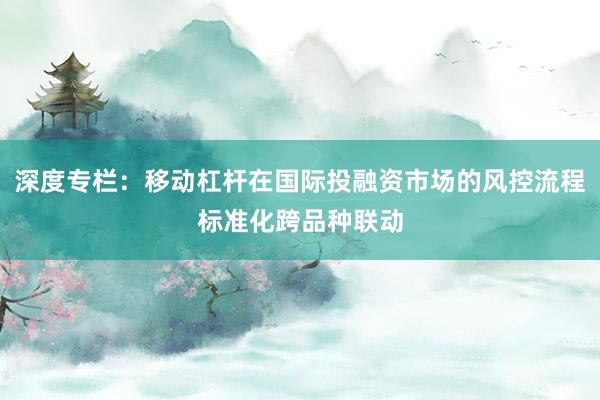 深度专栏：移动杠杆在国际投融资市场的风控流程标准化跨品种联动
