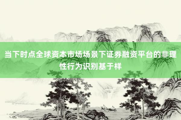 当下时点全球资本市场场景下证券融资平台的非理性行为识别基于样