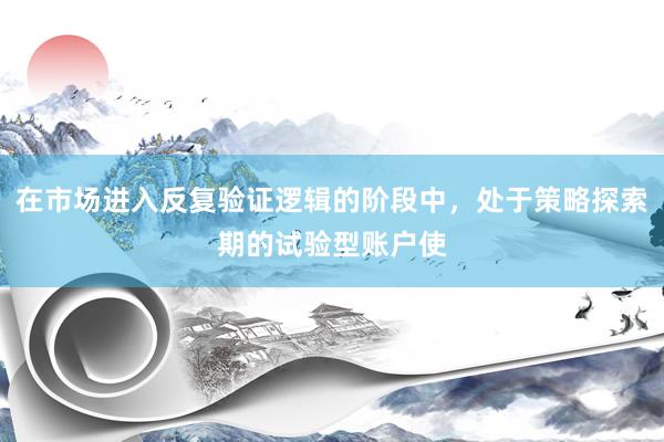 在市场进入反复验证逻辑的阶段中，处于策略探索期的试验型账户使