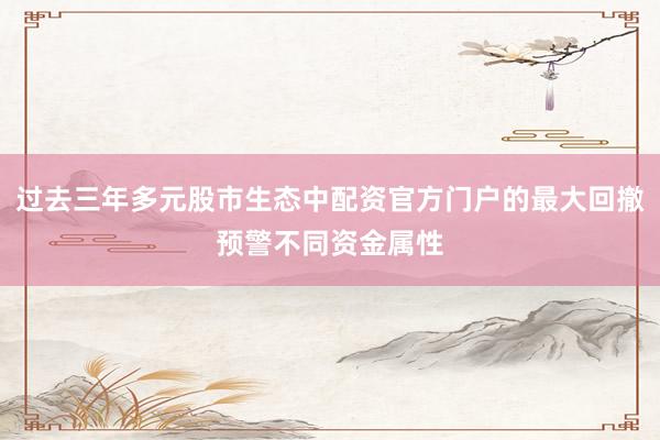 过去三年多元股市生态中配资官方门户的最大回撤预警不同资金属性