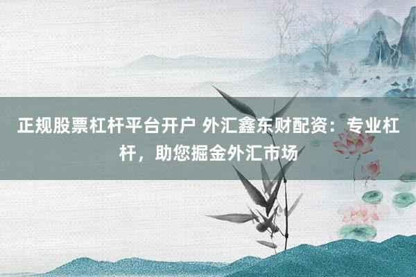 正规股票杠杆平台开户 外汇鑫东财配资：专业杠杆，助您掘金外汇市场