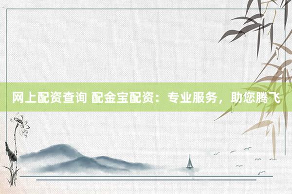 网上配资查询 配金宝配资：专业服务，助您腾飞
