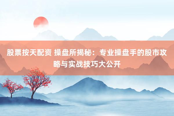 股票按天配资 操盘所揭秘：专业操盘手的股市攻略与实战技巧大公开