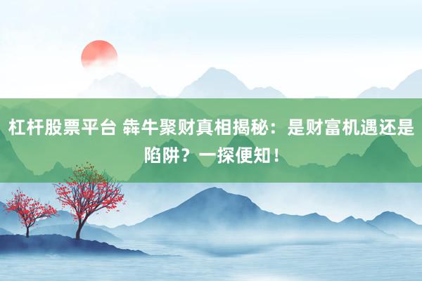 杠杆股票平台 犇牛聚财真相揭秘：是财富机遇还是陷阱？一探便知！